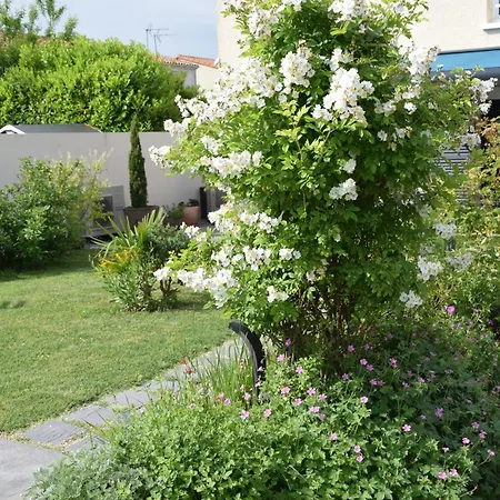 Bed & Breakfast La 13&15 3*