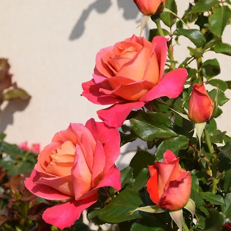 La 13&15 Bed & Breakfast