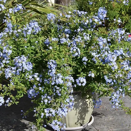 La 13&15 Bed & Breakfast